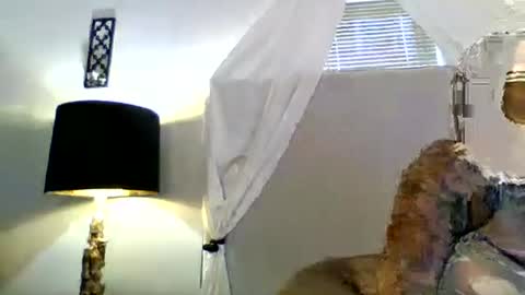 Tammygold online show from 06.23.26