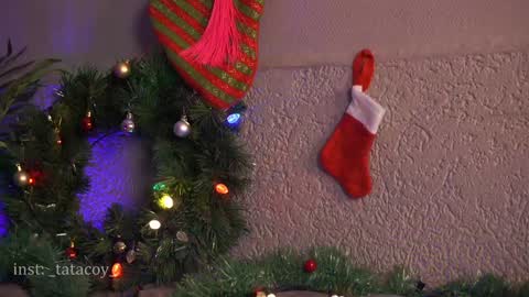 TataCoy online show from 01.11.25