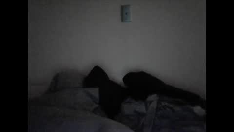 Snapshot of tattedpanther chatting on 12.03.24 tattedpanther online show from 12.03.24