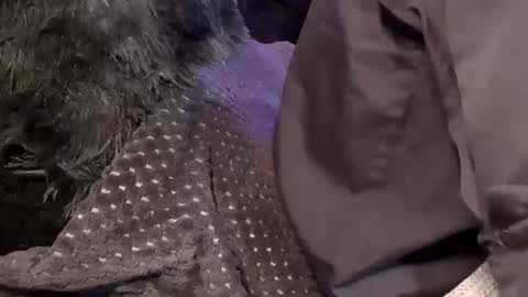 Snapshot of tattooman777 chatting on 12.15.25 Jean pool online show from 12.15.25