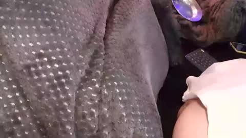 Snapshot of tattooman777 chatting on 12.17.25 Jean pool online show from 12.17.25