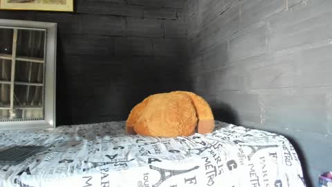  T A U R U S  online show from 01.17.25