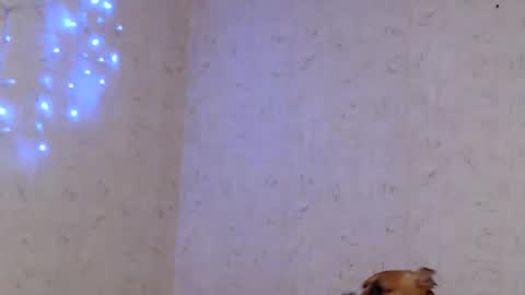 Taya online show from 01.09.26