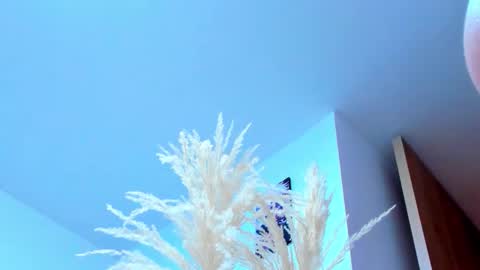 Snapshot of tayler_swift1 chatting on 02.13.26 tayler_swift1 online show from 02.13.26