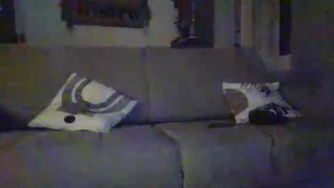 tchoop64 online show from 12.21.25