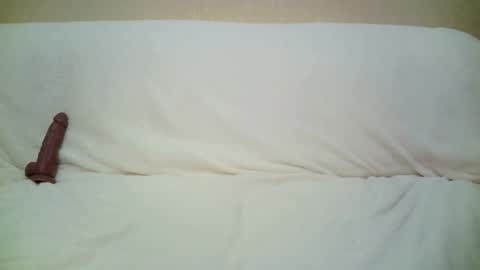 Snapshot of teach4kitty chatting on 09.29.25 teach4kitty online show from 09.29.25