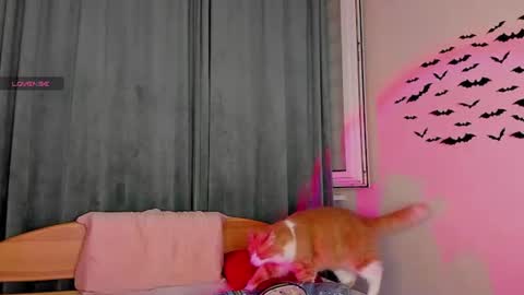 teaseme_bella online show from 07.18.26