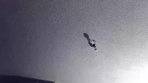 Snapshot of technosex14 chatting on 11.20.25 technosex14 online show from 11.20.25