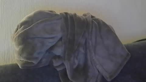 Peter online show from 03.15.26