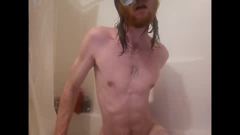 terrywillow online show from 02.28.26