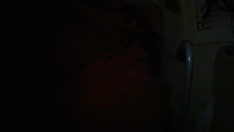 Snapshot of tetuo2 chatting on 11.05.25 tetuo2 online show from 11.05.25