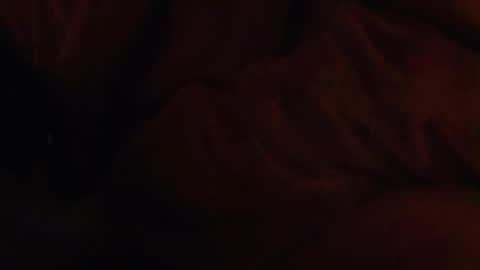 Snapshot of tetuo2 chatting on 11.25.25 tetuo2 online show from 11.25.25