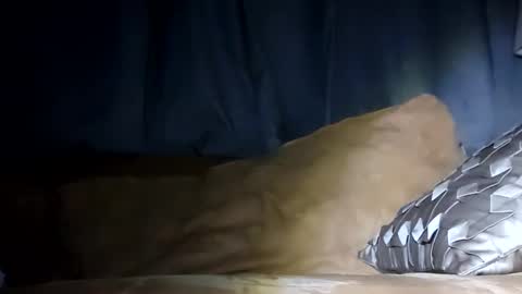 Snapshot of texasfried chatting on 01.29.25 MauiMinded808 online show from 01.29.25