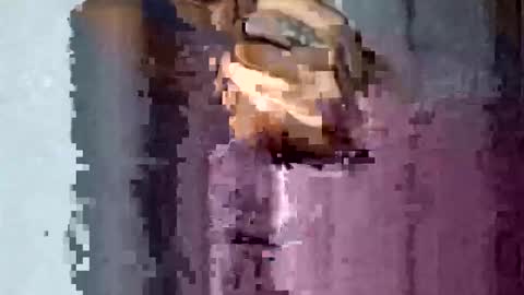 TexasDick online show from 11.16.25