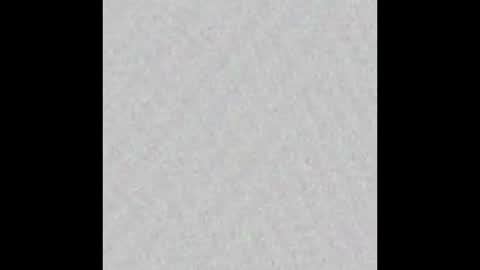 Snapshot of texpig chatting on 09.26.25 TexPig online show from 09.26.25