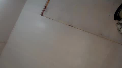 Luna online show from 03.08.25