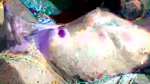 th3darksideofthemoon online show from 02.26.25