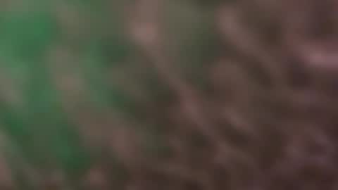 Snapshot of thankyoudaddy1 chatting on 03.10.26 thankyoudaddy1 online show from 03.10.26