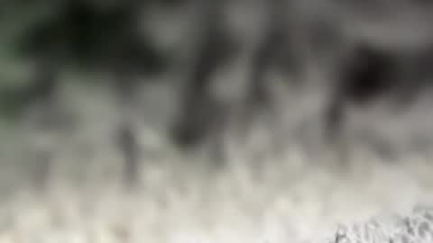 Snapshot of thankyoudaddy1 chatting on 03.15.26 thankyoudaddy1 online show from 03.15.26