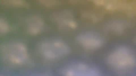 Snapshot of that_thing20 chatting on 03.05.25 that_thing20 online show from 03.05.25