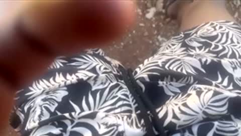 thatoneguy2802 online show from 01.17.26