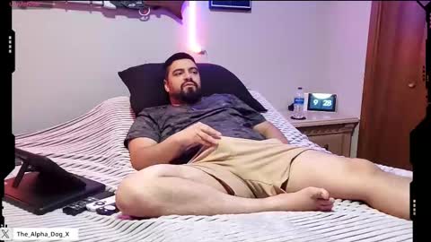 Snapshot of the_alpha_dog_xxx chatting on 09.13.25 the_alpha_dog_xxx online show from 09.13.25