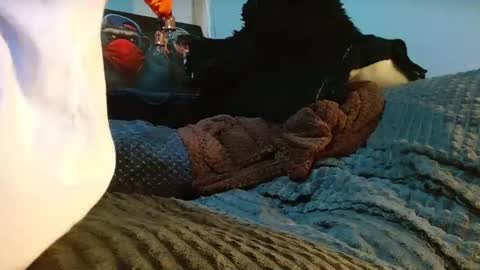 Snapshot of the_anfitrion69 chatting on 04.10.26 GIORGGIO online show from 04.10.26