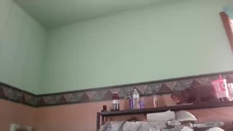 Snapshot of the_sam_ chatting on 01.28.25 the_sam_ online show from 01.28.25