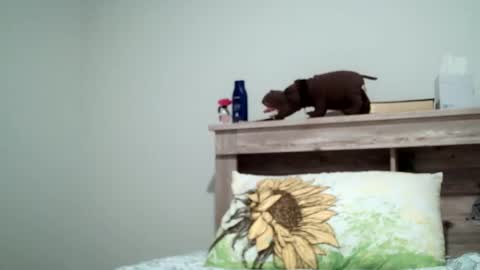 Snapshot of the_sam_ chatting on 02.08.25 the_sam_ online show from 02.08.25