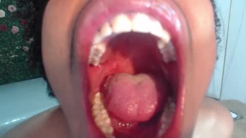 Flavor online show from 03.14.26