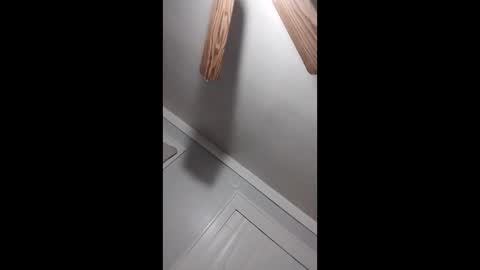 Snapshot of thedailyshower chatting on 03.09.26 thedailyshower online show from 03.09.26