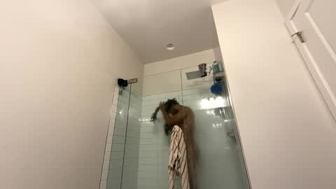 king capo thee online show from 12.26.24