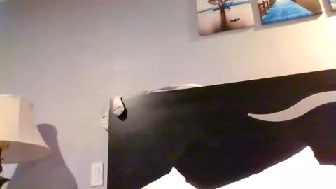 theh4iryfi5h online show from 03.13.26