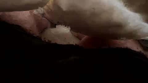 thelonlyboy online show from 11.19.25