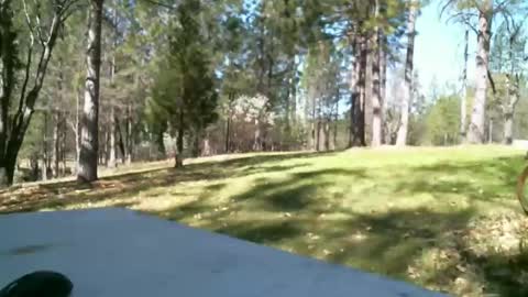 Daisy and Tim online show from 03.19.26