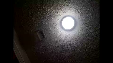 Amelia online show from 01.17.26