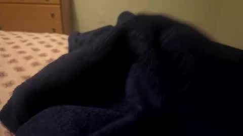 Snapshot of theplummer99 chatting on 12.04.25 theplummer99 online show from 12.04.25