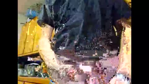 therizzler_1_of_1 online show from 10.22.25