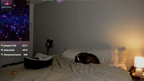 Selina Kyle online show from 01.24.25