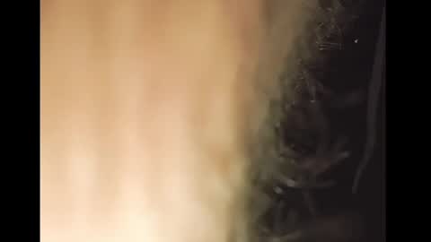 TheSexorcis online show from 02.25.25