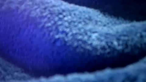 that would be telling online show from 02.16.26