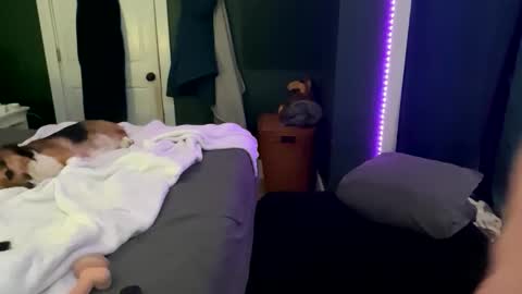 Snapshot of thick_d_energy chatting on 03.12.26 Thick D Bottom online show from 03.12.26