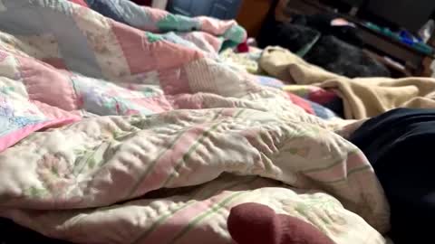 Snapshot of thickdic44 chatting on 02.12.25 thickdic44 online show from 02.12.25