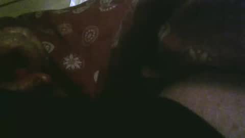 thisbloke96 online show from 12.17.25