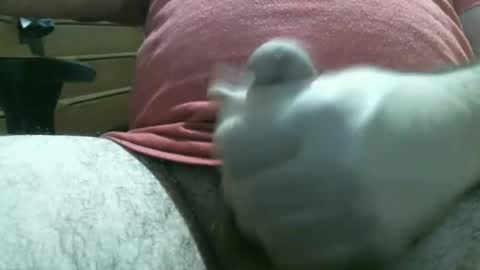 Snapshot of thomas0032 chatting on 02.19.26 thomas0032 online show from 02.19.26