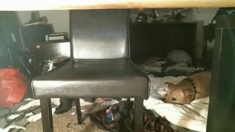 Snapshot of thumperdlj chatting on 10.27.25 Thumper online show from 10.27.25