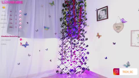 Snapshot of tich__ chatting on 12.21.24 TICH online show from 12.21.24