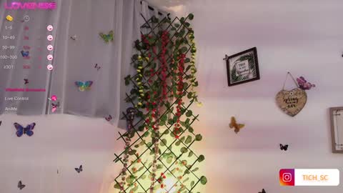 Snapshot of tich__ chatting on 01.05.25 TICH online show from 01.05.25