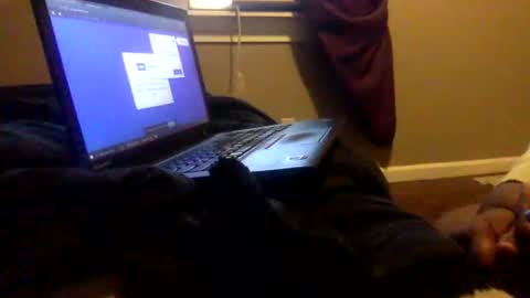 Snapshot of tierrahenri chatting on 02.02.25 Tierra Henri online show from 02.02.25