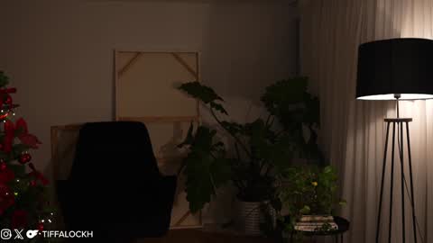 Snapshot of tifalock_ chatting on 12.12.24 Tifa online show from 12.12.24